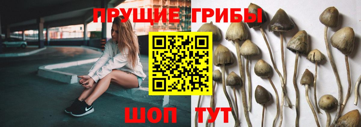 Галлюциногенные грибы Magic Shrooms Ртищево